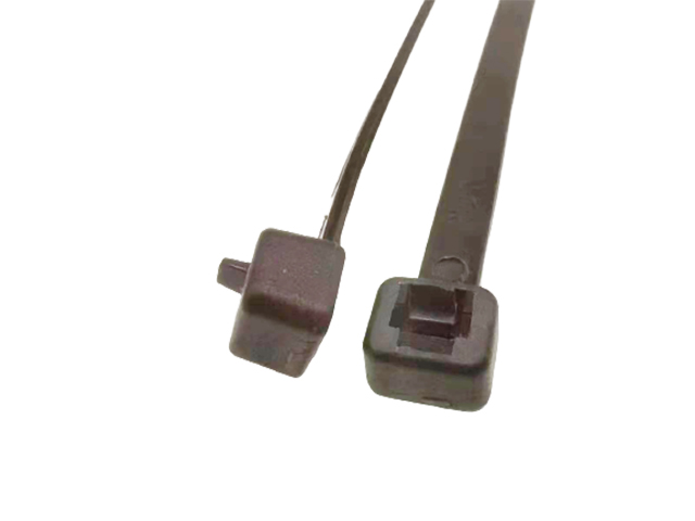 BWR-300STP